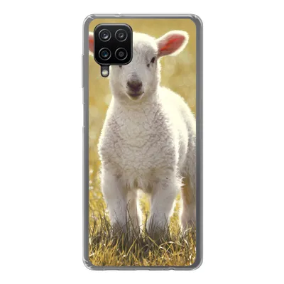 Produktbild von MuchoWow® Handyhülle Schutzhülle Hülle für Samsung Galaxy A12 Schafe - Gras - Sonne Silikon Softcase Handy Hülle - Bild