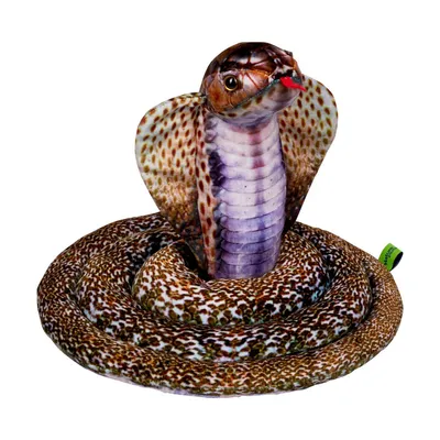 Produktbild von Coppenrath Verlag GmbH & Co.KG Kobra - Nature Zoom Wild 1