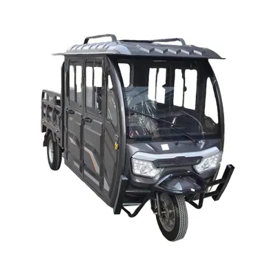 Produktbild von Eborn Cargo Cat 4-F (45 km/h) - Grau