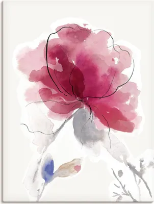 Produktbild von ARTland Leinwandbild Rosige Blüte II. Größe: 60x80 cm