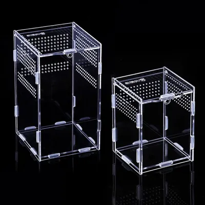 Produktbild von Famanu Terrariumbox für Reptilien - Acrylterrarium mit Belüftung - Transparent für Spinnen, Skorpione, Käfer, Heuschrecken - 12x12x20 und 9x9