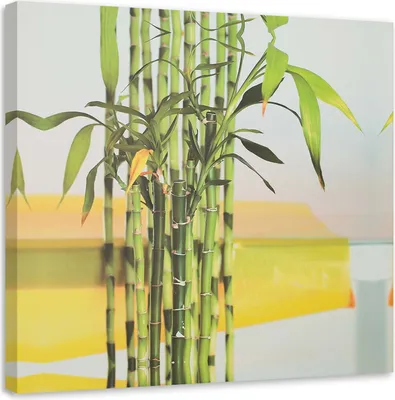 Produktbild von Leinwandbild etwas grüner bambus 60x60 cm Feeby grün wandbild bereit zum aufhängen