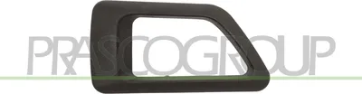 Produktbild von PRASCO CI9158701 Türgriff Innen Vorne Rechts für CITROËN Berlingo / Berlingo First (MF, GJK, GFK)