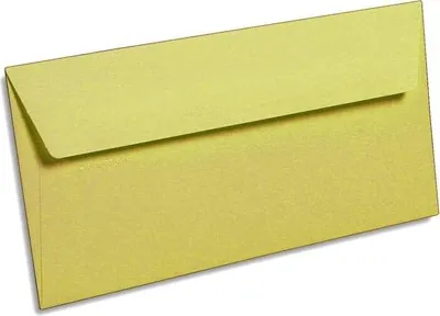 Produktbild von Clairefontaine Pollen Umschläge DIN-Lang Karamel 120g/m² 20 Stück
