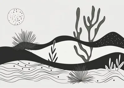 Image de Affiche 42 x 29,7 cm Jardin de nuit