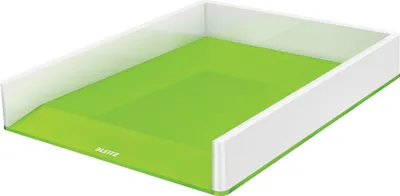 Obrázek produktu pro Esselte Leitz 53611054 - Polystyrol (PS) - Grün - Weiß - A4 - 267 mm - 49 mm - 336 mm