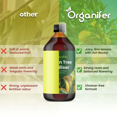 Produktbild von Zitronenbaum Flüssigdünger 5x1L – 2-1-8 NPK – Flüssig-Pflanzendünger für Zitronenbäume – Organifer