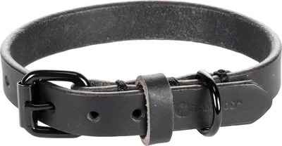 Produktbild von Flamingo Halsband Leano schwarz, Maße: 24 - 30 cm / 15 mm