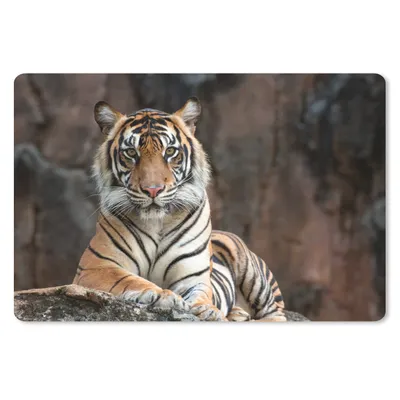 Produktbild von MuchoWow® Schreibtischunterlage Tiger - Felsen - Berge 60x40 cm - XXL Mauspad - Großes Mauspad