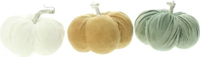 Produktbild von ohne Marke Deko-Kürbis Samtkürbis" 3er-Set terra/weiß/grün OneSize"