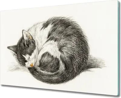 Produktbild von Coloray Hackbrett Küchenbrett Kochplattenabdeckung Schneidebrett Herdabdeckplatte 80x52 cm - Haustier Katze