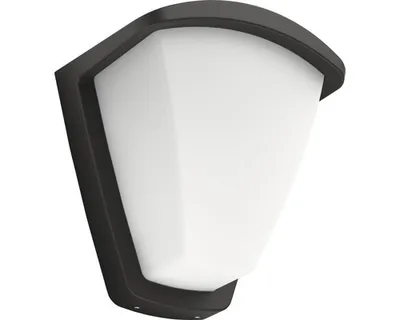 Immagine prodotto di Philips by Signify Philips myGarden Lampada da parete 1738393PN