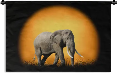 Produktbild von MuchoWow® Wandteppich Wandbehang Elefant - Sonne - Gras 60x40 cm Tapisserie Dekoration Wandtuch - Wanddekorationen