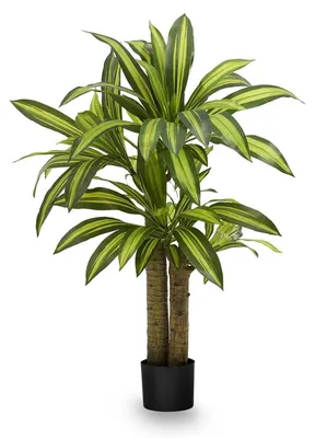 Image de Plante artificielle Dracaena, hyperréaliste, 120 cm