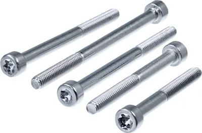 Produktbild von SECCARO Zylinderschraube M8 x 55 mm, Edelstahl V2A VA A2, ISO 14579 / DIN 912, TX / Innensechsrund, Teilgewinde, 20 Stück