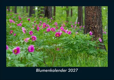 Produktbild von Blumenkalender 2027 Fotokalender DIN A5