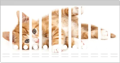 Produktbild von Wallario Ordnerrücken Sticker, selbstklebend für schmale Ordner, 12 Stück, Motiv Süße Katze mit großen Augen - rot weiß getigert