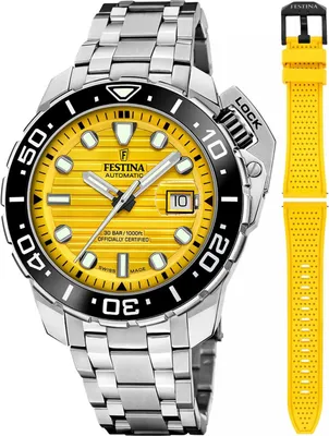 Obrázok produktu pre Hodinky Festina F20043-1 strieborné