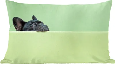 Produktbild von MuchoWow® Zierkissen Sofakissen Wohnzimmer Dekokissen 50x30 cm Französische Bulldogge - Grün - Schwarz - Wohnzimmerdekoration - Polster mit Photo