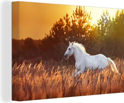 Produktbild von OneMillionCanvasses® - Leinwandbilder - 140x90 cm, Pferd - Gras - Baum - Sonne, Wandbilder Kunstdruck Wanddekoration
