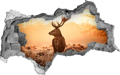 Produktbild von Selbstklebender Loch-3D-Aufkleber 95x73 cm Hirsch Sonnenaufgang