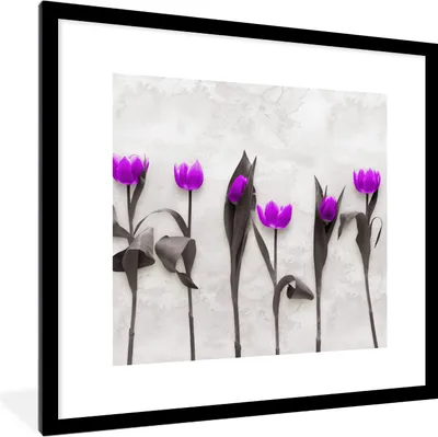 Produktbild von MuchoWow® Gerahmtes Poster Blumen - Tulpen - Lila 40x40 cm - Poster mit Schwarzem Bilderrahmen Wandposter Rahmen Foto Bilder - Poster - Plakat im Rahmen