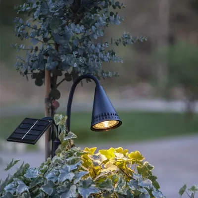 A solar-powered garden spotlight illuminates ivy plants at dusk.