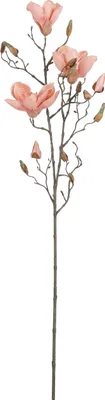Produktbild von Mica Decorations Magnolien Kunstblume - H88 cm - Pfirsich