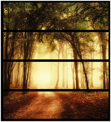 Produktbild von Wallario Möbelfolie / Aufkleber, geeignet für Ikea Malm Kommode mit 4 Schubfächern - Sonnenuntergang auf dem Waldweg