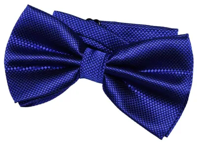 Produktbild von DonDon Herren Fliege 12 x 6 cm gebunden mit Hakenverschluss und größenverstellbar für besondere Anlässe blau