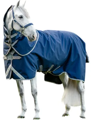 Produktbild von Horseware Ireland Weidedecke Amigo 1200D FieldSafe Plus 0g Turnout Decke Navy/Titanium Grey & Silver 155 cm