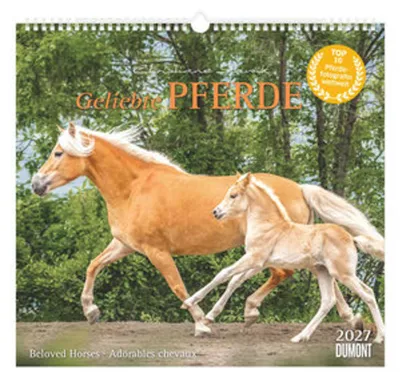 Produktbild von DUMONT Kalender Geliebte Pferde 2027 – Wandkalender mit Spiralbindung, 38 x 36 cm