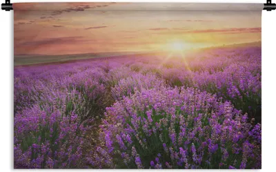 Produktbild von MuchoWow® Wandteppich Wandbehang Lavendel - Sonne - Blumen 90x60 cm Tapisserie Dekoration Wandtuch - Wandskulpturen - Bildteppich