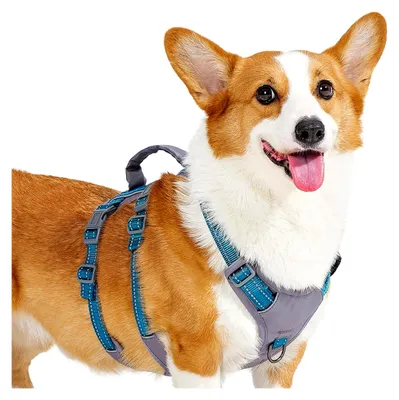 Produktbild von Sicherheitsgeschirr für Hunde, Ausbruchsicher, Panikgeschirr mit reflektierendem Design und Griff, Verstellbares Geschirr für kleine, mittelgroße und große Hunde (Blaugrün, M)