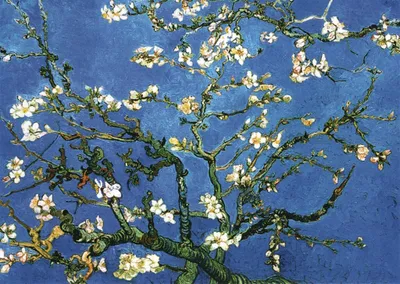 Produktbild von Kunstkarte Vincent van Gogh "Blühende Mandelbaumzweige"