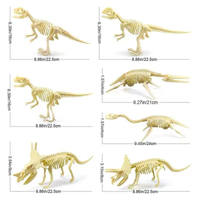 Obrázek produktu pro Dinosauří fosilní kostry, dinosauří kosti Hračky