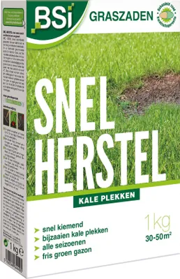 Produktbild von BSI Grassamen 1kg bis zu 50m² - Quick Recovery coated - für die Nachsaat kahler Stellen - Schnell keimend - Ideal nach dem Vertikutieren oder für einen Rasen mit kahlen Stellen - Keimt bereits bei 4°C