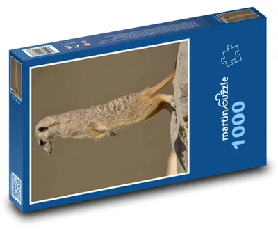 Obrázok produktu pre Puzzle 1000 Surikata na stráži - martinpuzzle