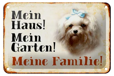 Produktbild von Blechschild Hund 18x12cm Malteser mein Haus Garten Familie