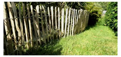 Produktbild von Staketenzaun aus Haselnuss 90 x 500 cm (Lattenabstand 7-9 cm) - Rollzaun aus Kastanie für den Garten