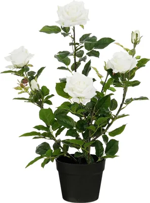 Produktbild von Mica Decorations Kunstpflanze Rose im Topf creme Ø 35 x 62 cm