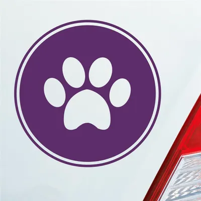 Produktbild von Auto Aufkleber Pfote Paw Dog Hund Tier Haustier Abdruck 10x10 cm Lila Sticker Heckscheibenaufkleber