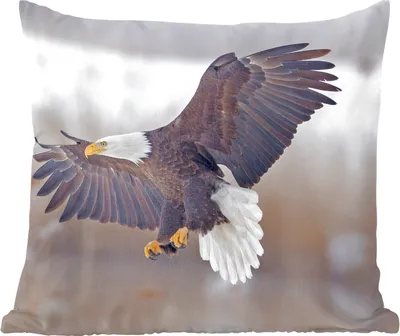 Produktbild von MuchoWow® Zierkissen Sofakissen Wohnzimmer Dekokissen 45x45 cm Ein amerikanischer Weißkopfseeadler mit ausgebreiteten Flügeln. - Schlafpolster - Polster für das Sofa