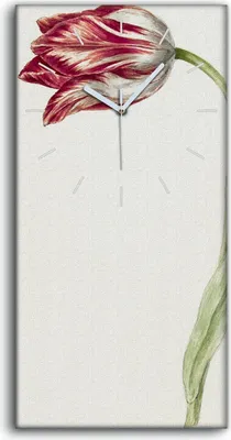 Produktbild von Wanduhr Uhr Wandbild Leinwand Geräuschlos 30x60 Gemälde Blumen Pflanzen Kunst - weiße Hände