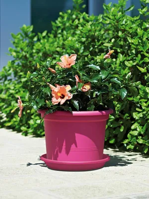 Produktbild von Untersetzer Medea 40 cm in Cyclam für Geo