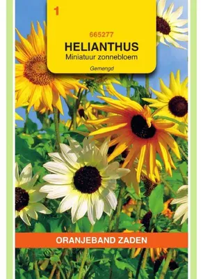 Imagen del producto de Semillas de la variedad Helianthus debilis "Oranjeband" - 1 paquete