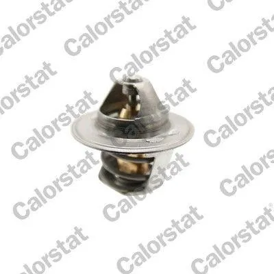 Produktbild von CALORSTAT by Vernet Thermostat Kühlmittel 79°C
