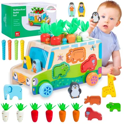 Produktbild von Holz Motorikspielzeug Montessori Auto Sortierbox Karotten Steckpuzzle für Kinder