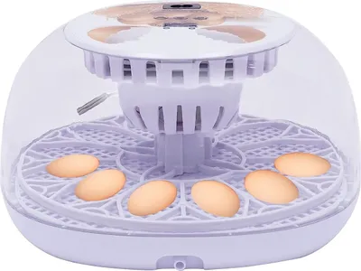 Image de Couveuse pour 12 œufs, couveuse entièrement automatique pour poulets