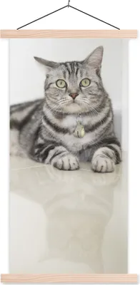 Produktbild von MuchoWow® Textilposter Katze - Grau - Tier - Mädchen - Kinder - Jungen - Kind 40x80 cm mit holzfarbenen Rahmen - Wohnzimmer